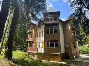 The Forest Villa Borovets